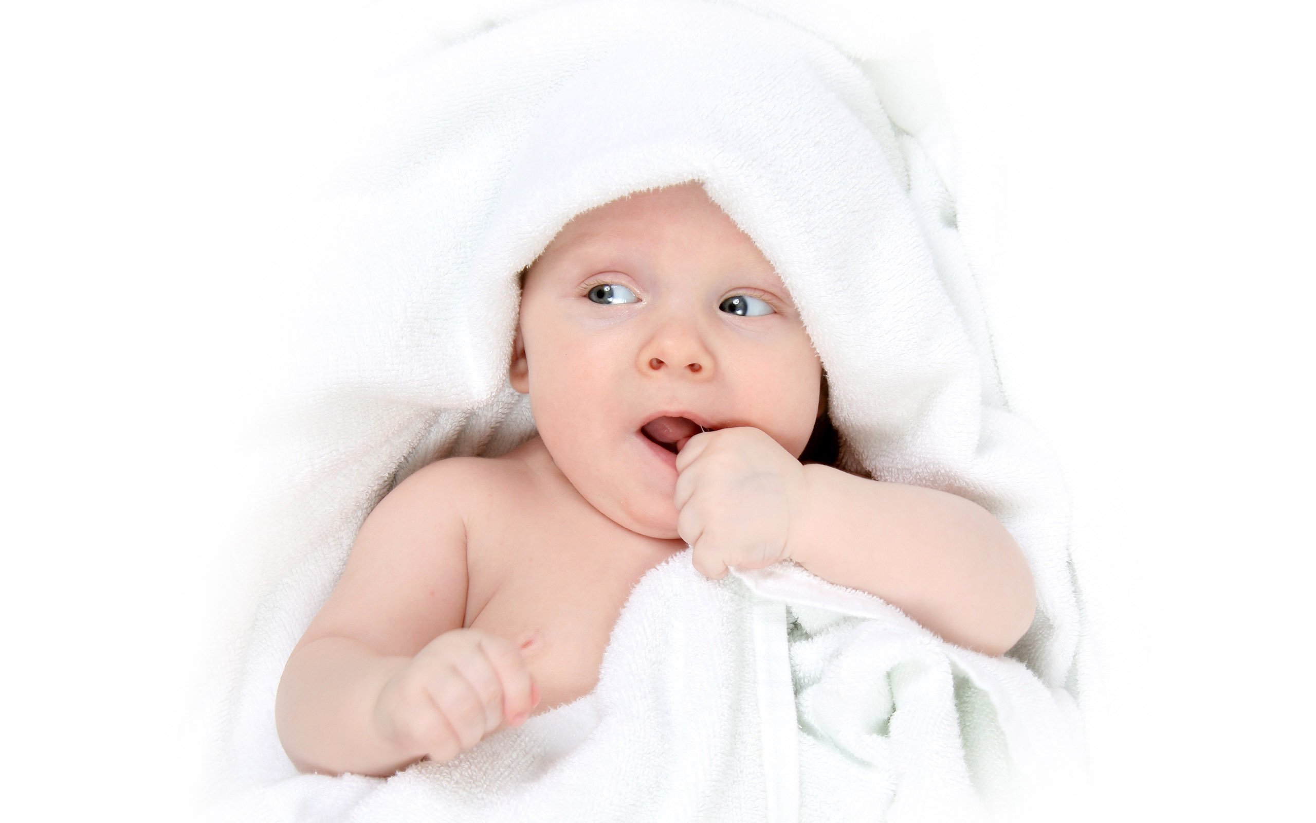 潍坊供卵助孕胚胎移植哪个医院成功率高
